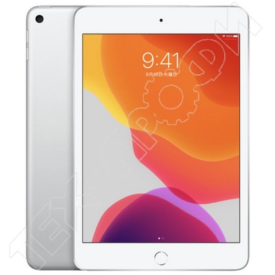  iPad 10,2 (2019)